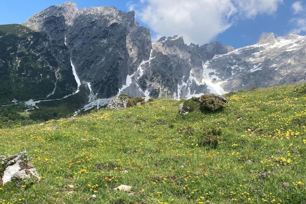 Mountain View Apartment Maria Alm am Steinernen Meer Zewnętrze zdjęcie