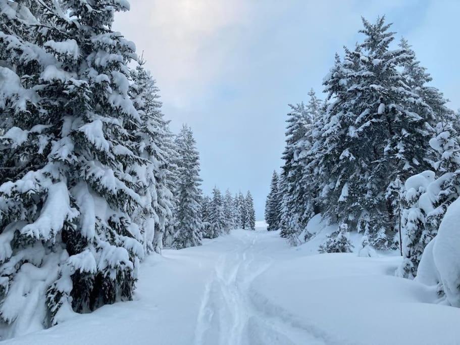 Mountain View Apartment Maria Alm am Steinernen Meer Zewnętrze zdjęcie
